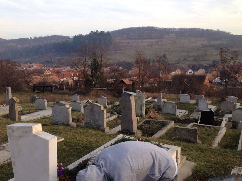 Image 7 of 37  -  90 kB